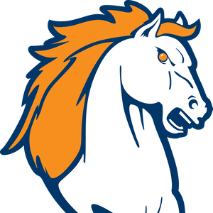 Team Page: Brandeis High School